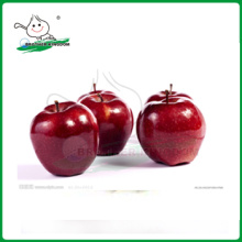 red delicious apple/huaniu apple/new high quality China fresh top red huaniu apples